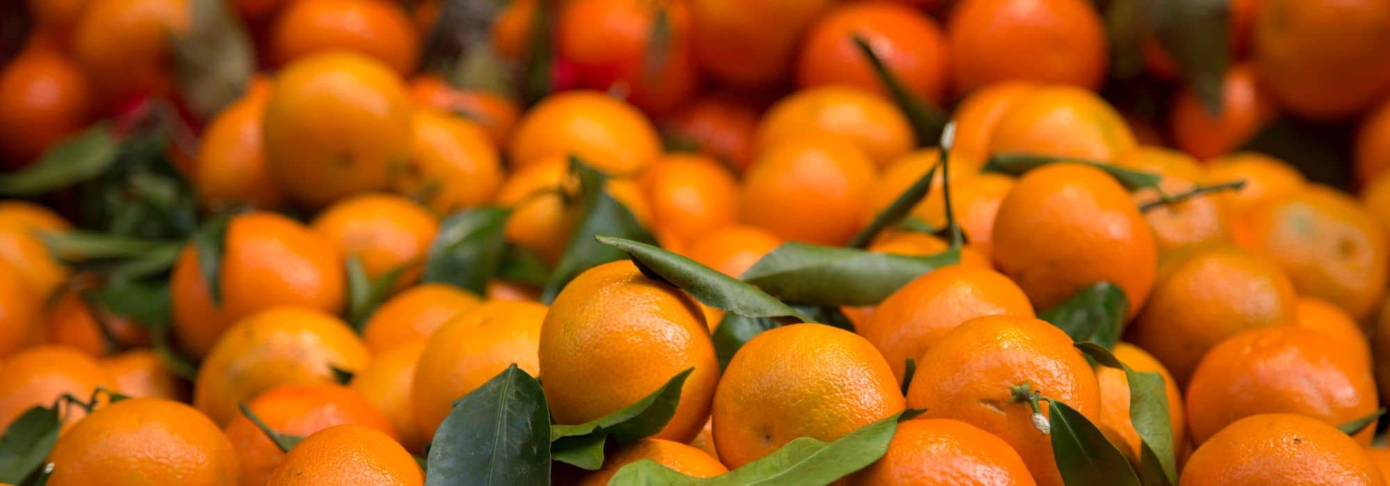 Unterschiede zwischen Mittelmeer-Mandarine und Clementinen?