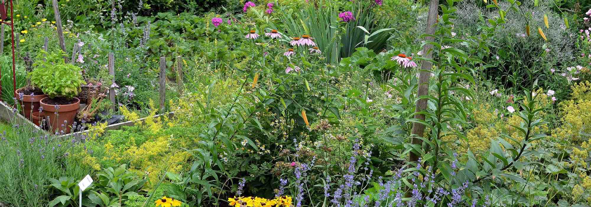 Garten auf Permakultur umstellen?