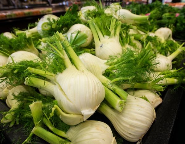 Fenchel säen?