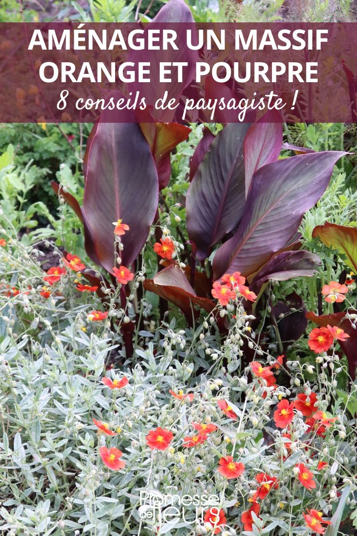 Orangefarbene und purpurne Gartengestaltung
