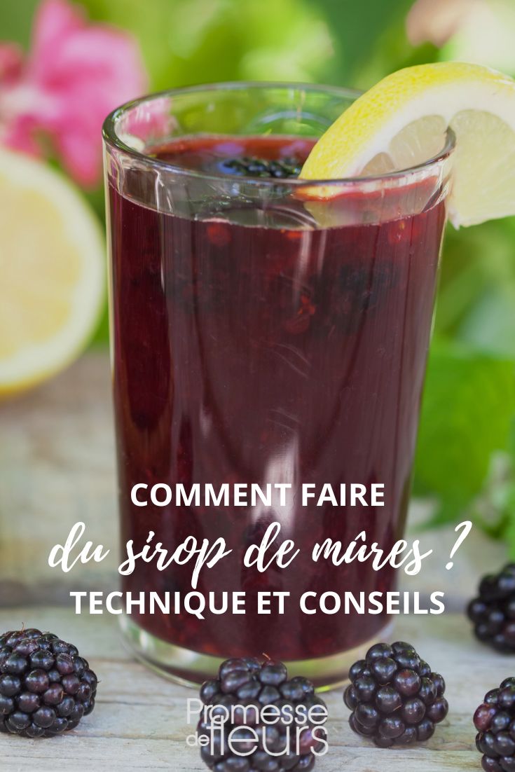 Brombeersirup-Rezept