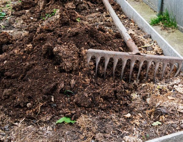 Doppeltes Warmbeet unter Schutz anlegen?