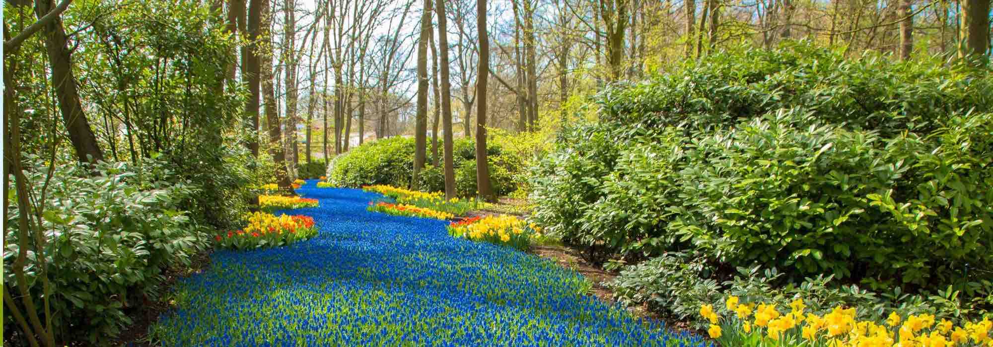 Wasserillusion mit Pflanzen schaffen