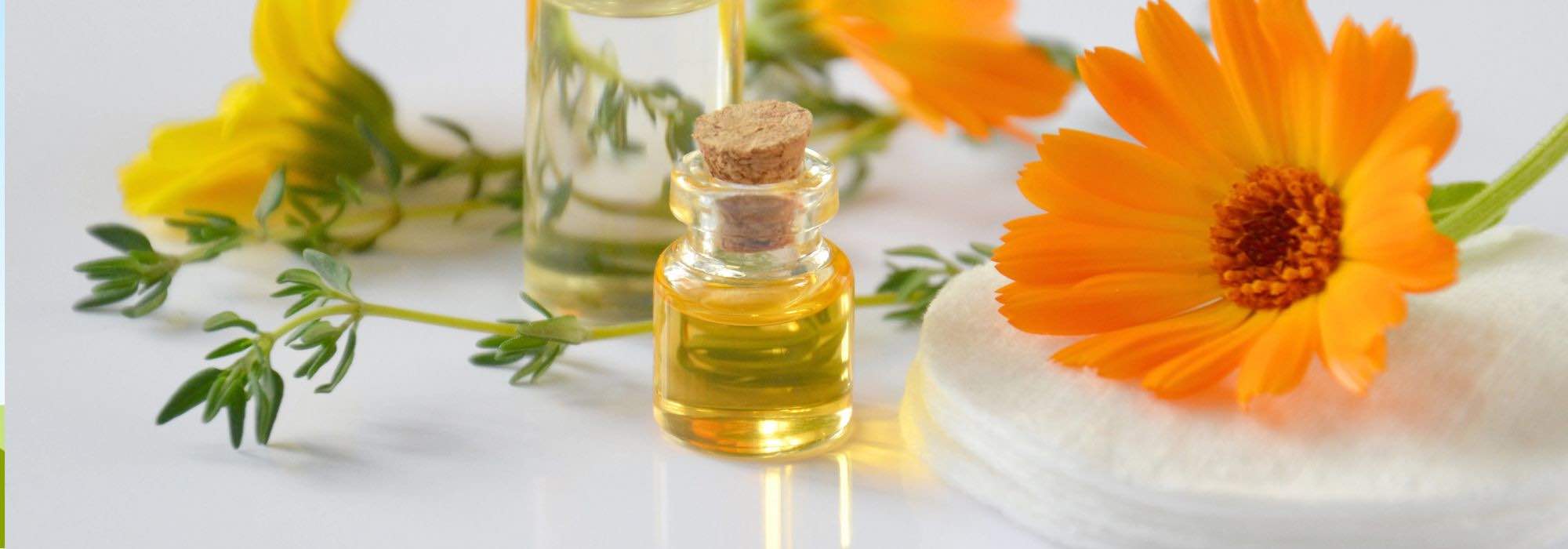 7 Heilpflanzen für schöne Haut