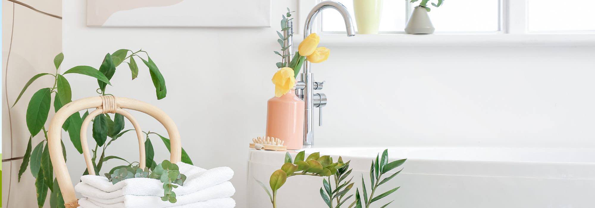 11 perfekte Zimmerpflanzen fürs Badezimmer