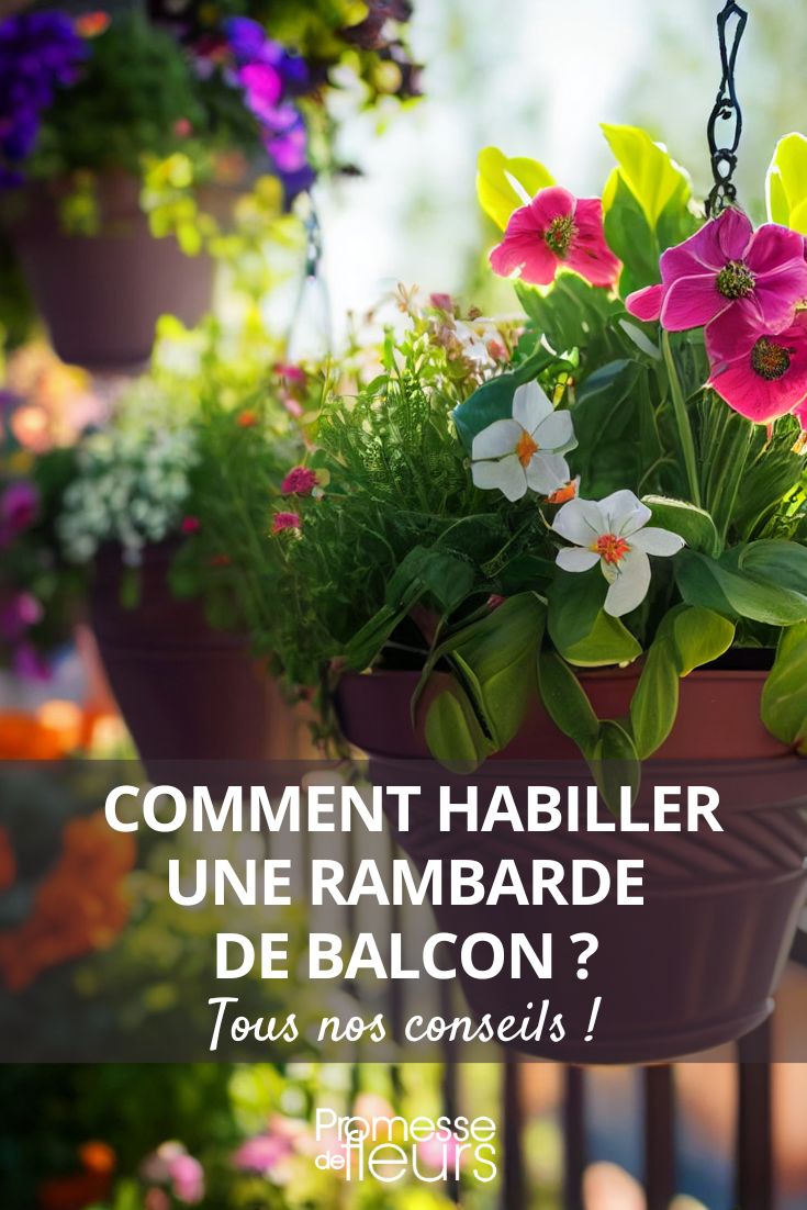 Balkonbrüstung verkleiden, Balkongestaltung, Sichtschutz für den Balkon, Geländer verkleiden und verdecken, welche Pflanzen eignen sich zum Verstecken der Balkonbrüstung