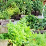 Sparen im Gemüsegarten: Upcycling-Ideen