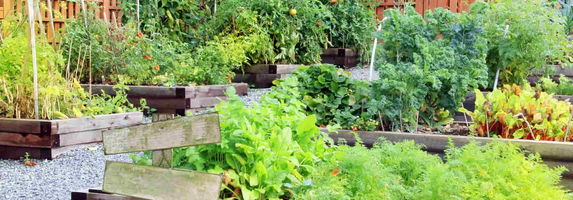 Sparen im Gemüsegarten: Upcycling-Ideen