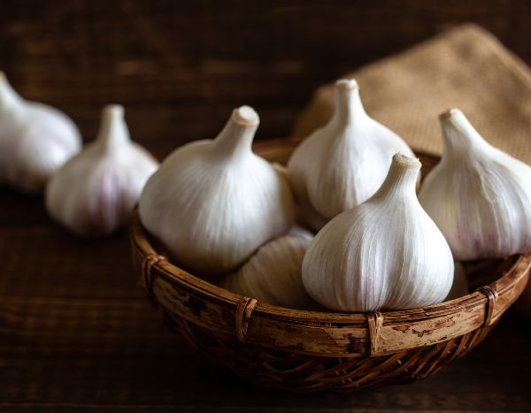 Knoblauch ernten und lagern?