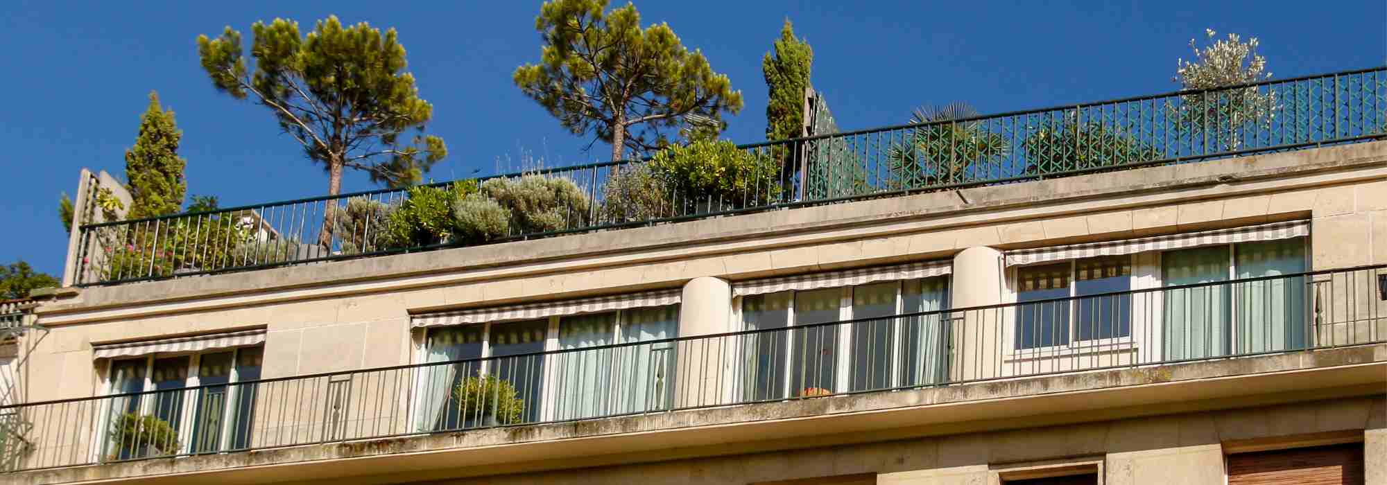 9 Tipps vom Landschaftsarchitekten für die Dachterrasse