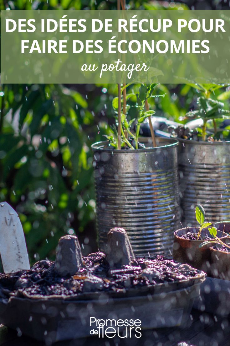 Upcycling im Gemüsegarten