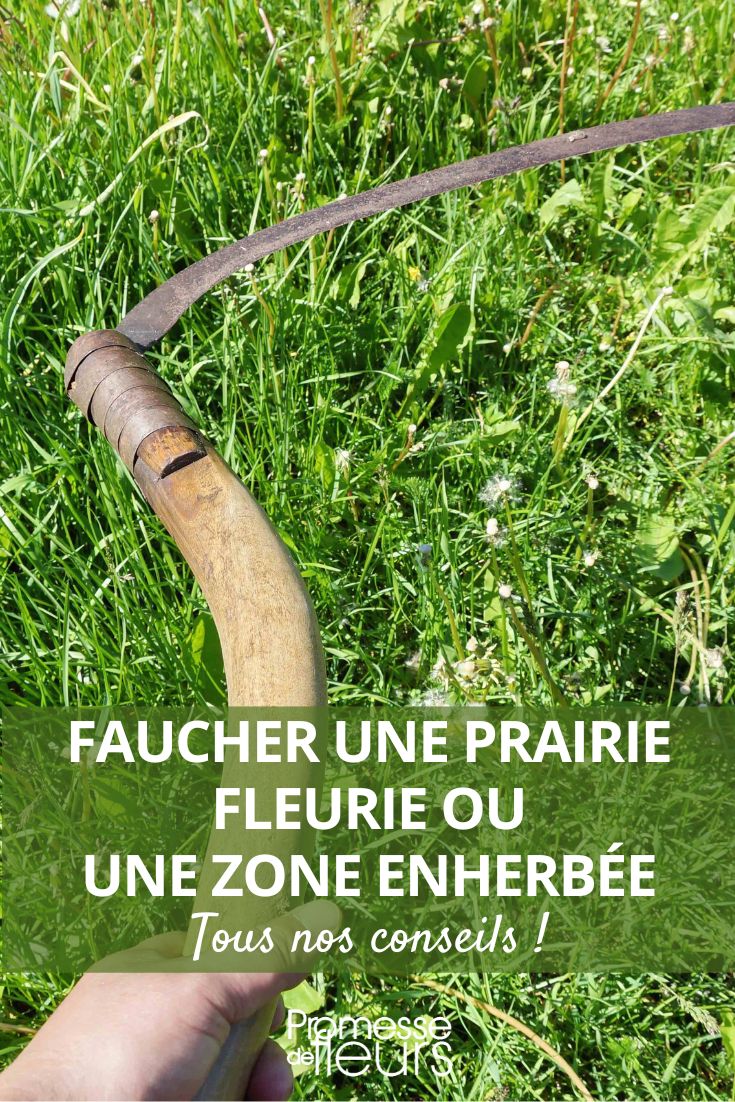 Mähen des Grases