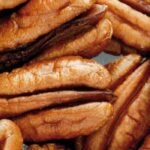 Pekannuss: beste Sorten