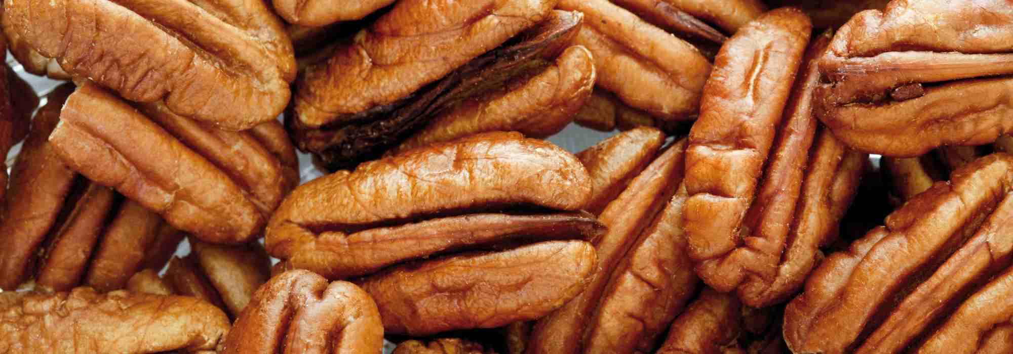 Pekannuss: beste Sorten