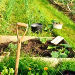 Gemüsegarten ruinieren: 5 Lektionen?