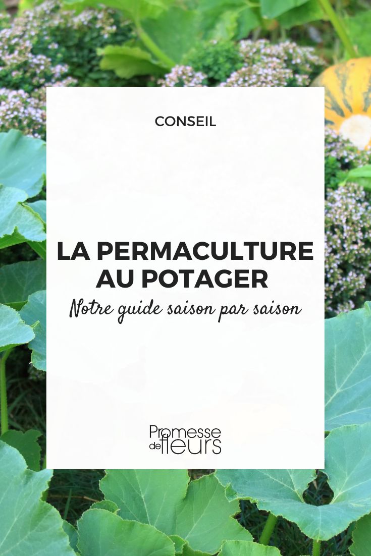 Permakultur-Garten