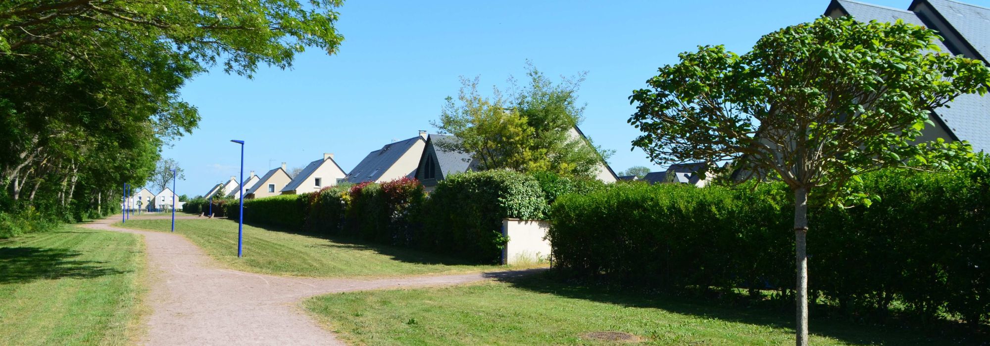 Heckensträucher fürs Reihenhausgrundstück wählen
