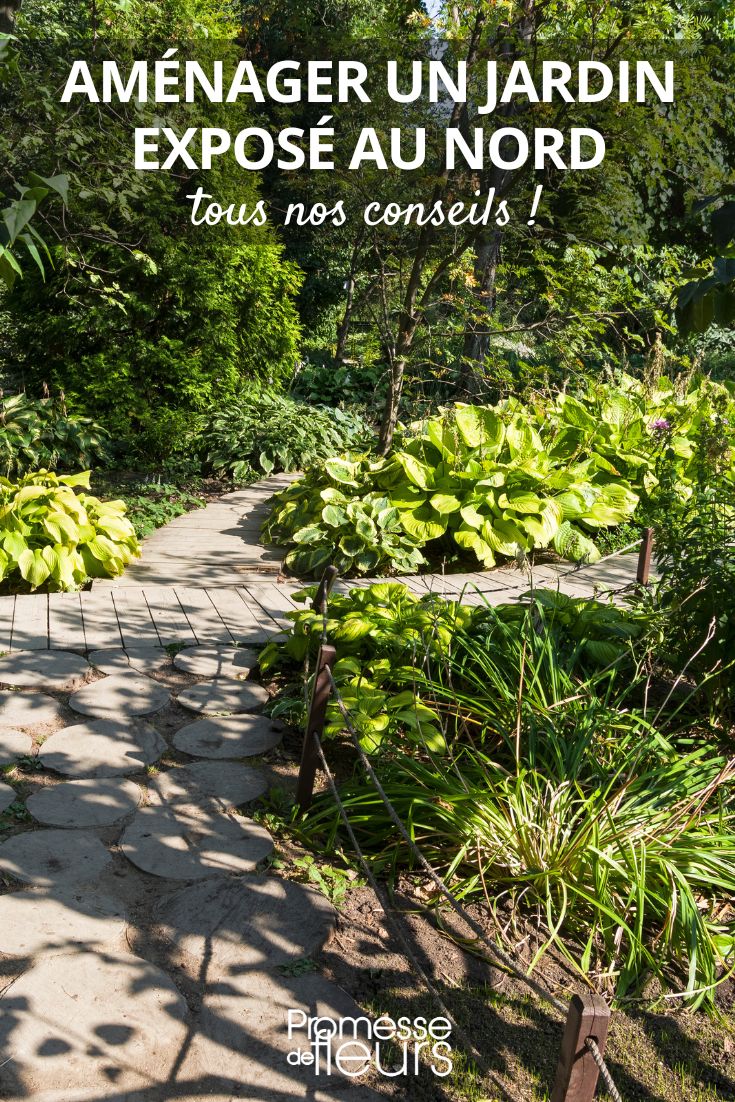 Tipps, Tricks und Ideen für einen schattigen Garten