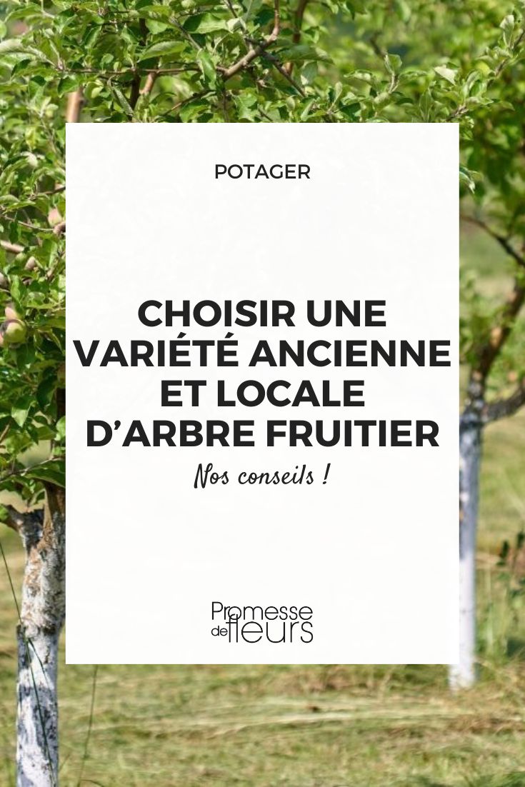 alte und widerstandsfähige Obstbäume finden