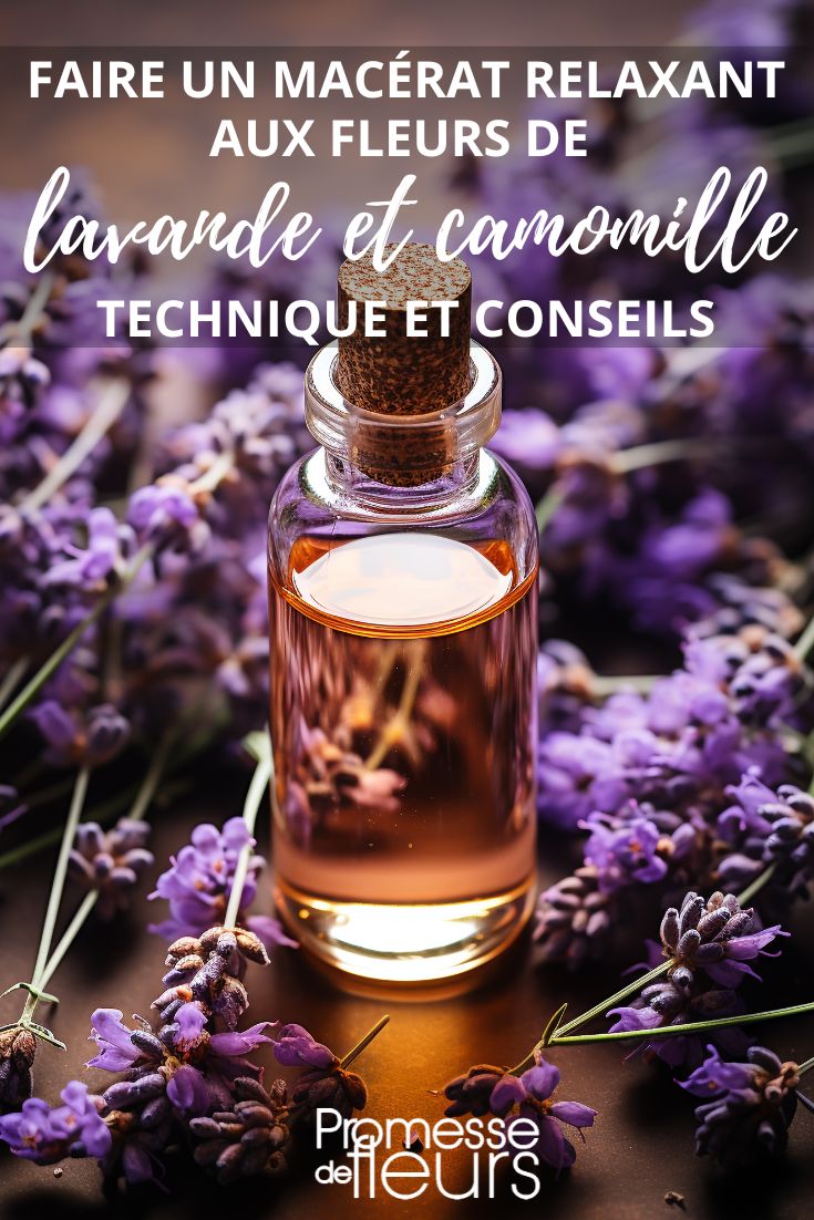 der Lavendel für seine entspannende Wirkung und die Kamille für ihre beruhigenden Eigenschaften