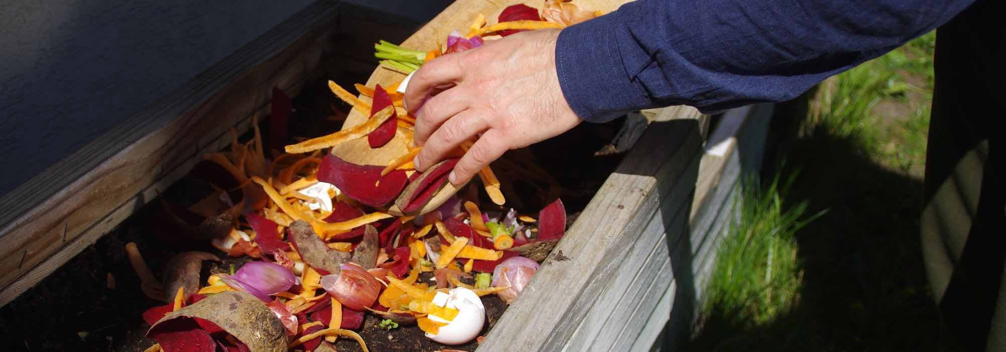 Nachhaltigen Garten gestalten?