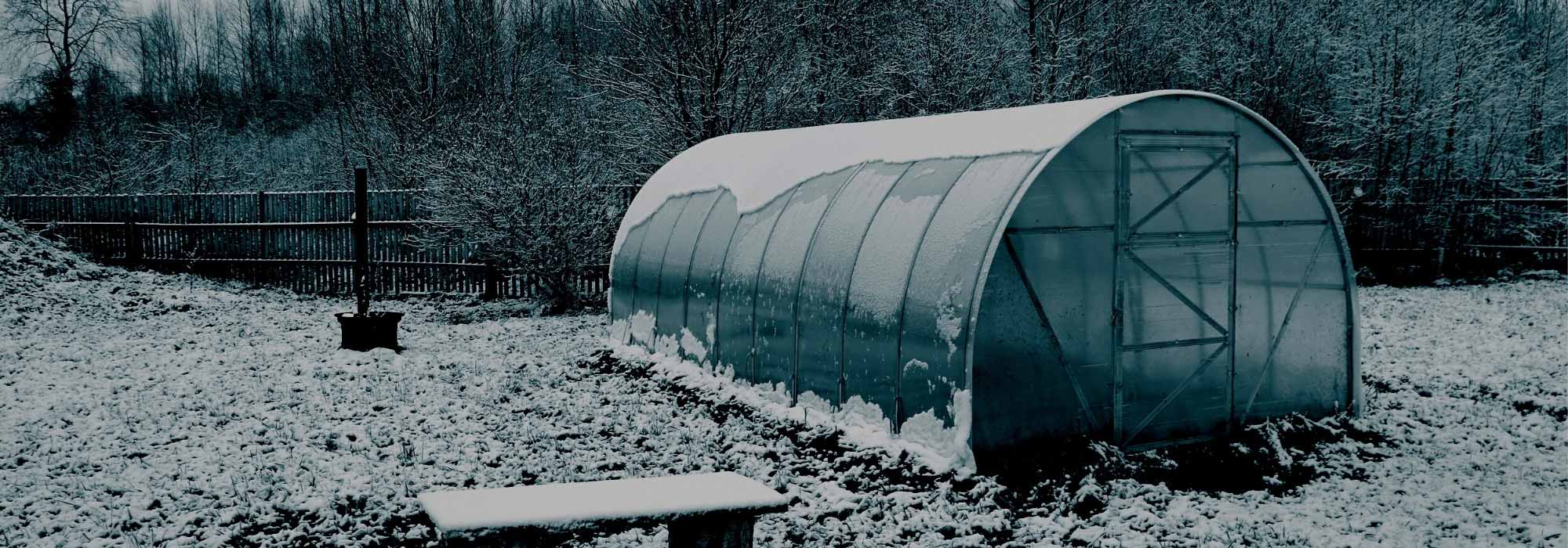 Gewächshauskultur im Winter: Vorteile & Praxistipps