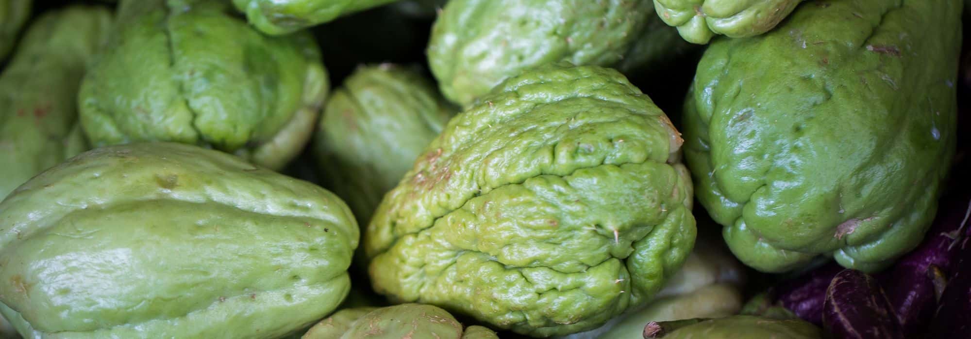Chayote anbauen