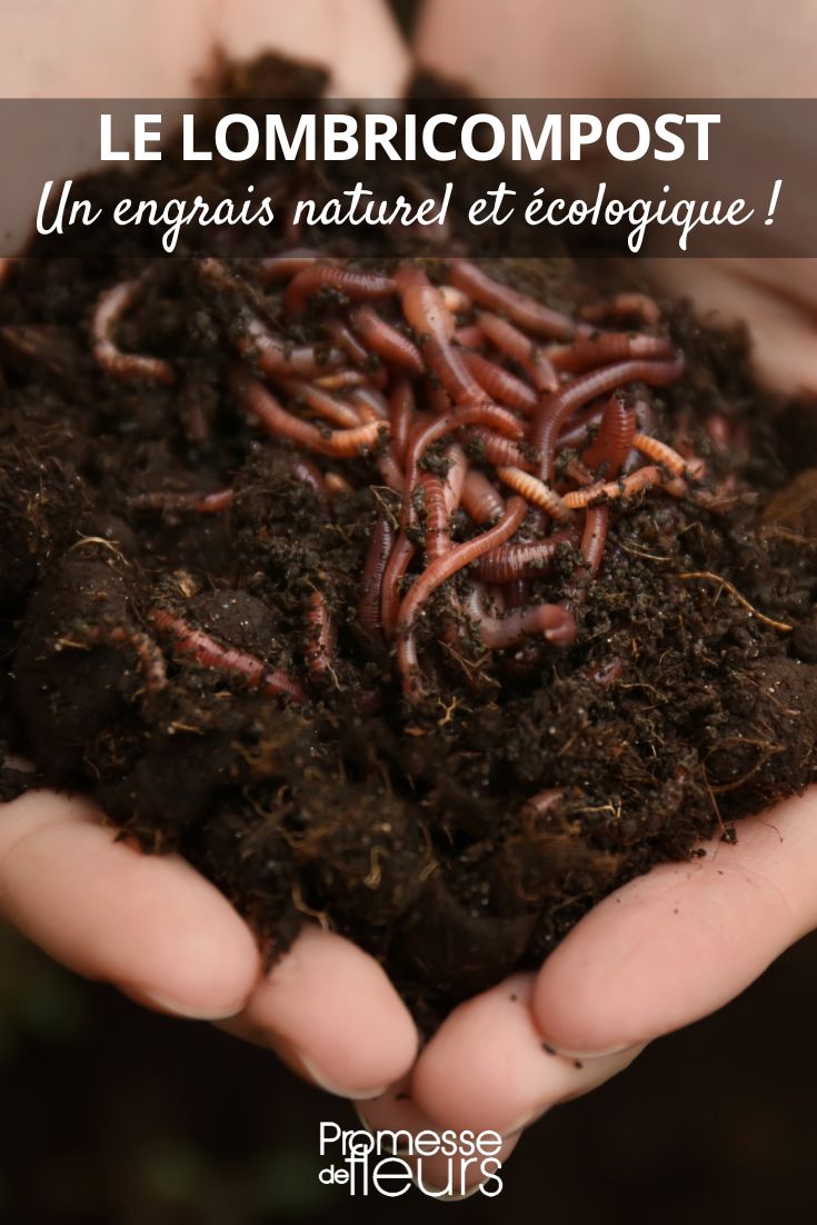 Wurmkomposter