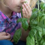 7 kreative Ideen, um Kinder auch ohne Garten an das Gärtnern heranzuführen
