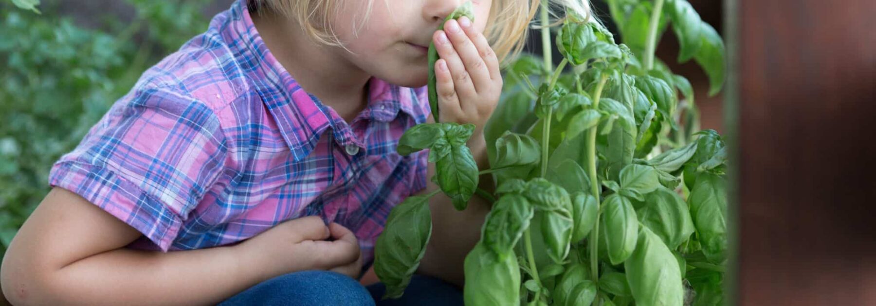 7 kreative Ideen, um Kinder auch ohne Garten an das Gärtnern heranzuführen