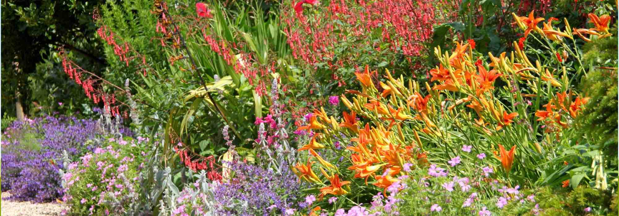 7 günstige Tipps für einen schönen Garten