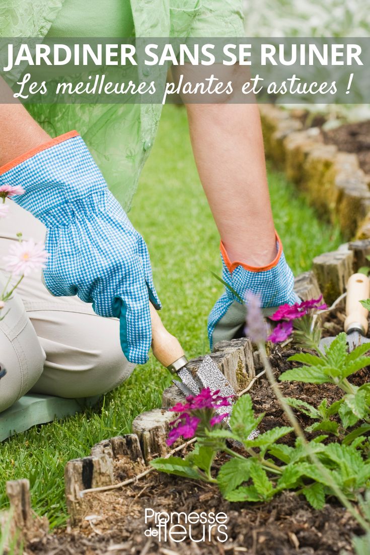 Einen Garten ohne viel Geld gestalten