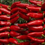 5 milde, aromatische Spanische Chili-Pfeffer