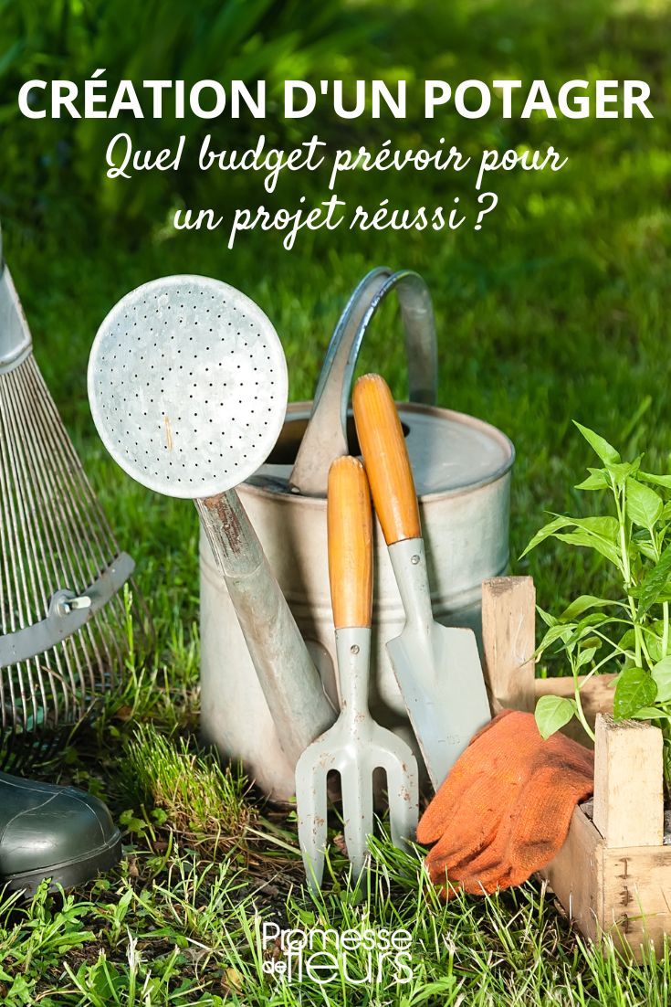 Was braucht man, um einen Gemüsegarten anzulegen