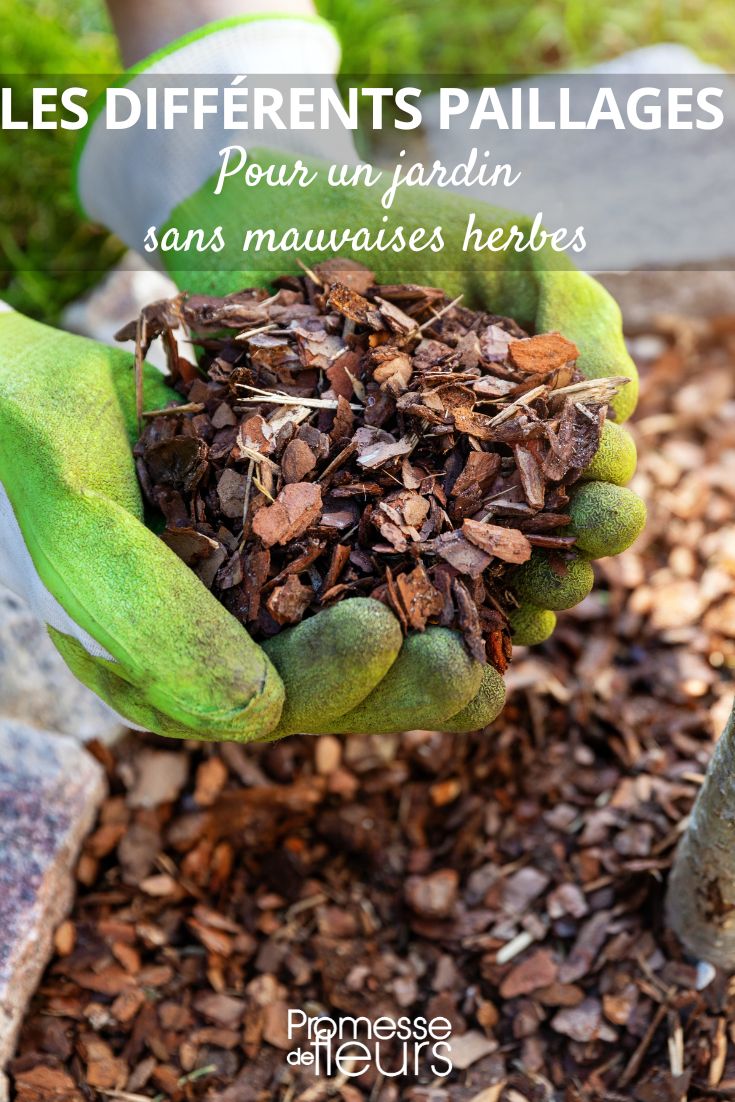 Kiefernrinde und andere Mulchmaterialien