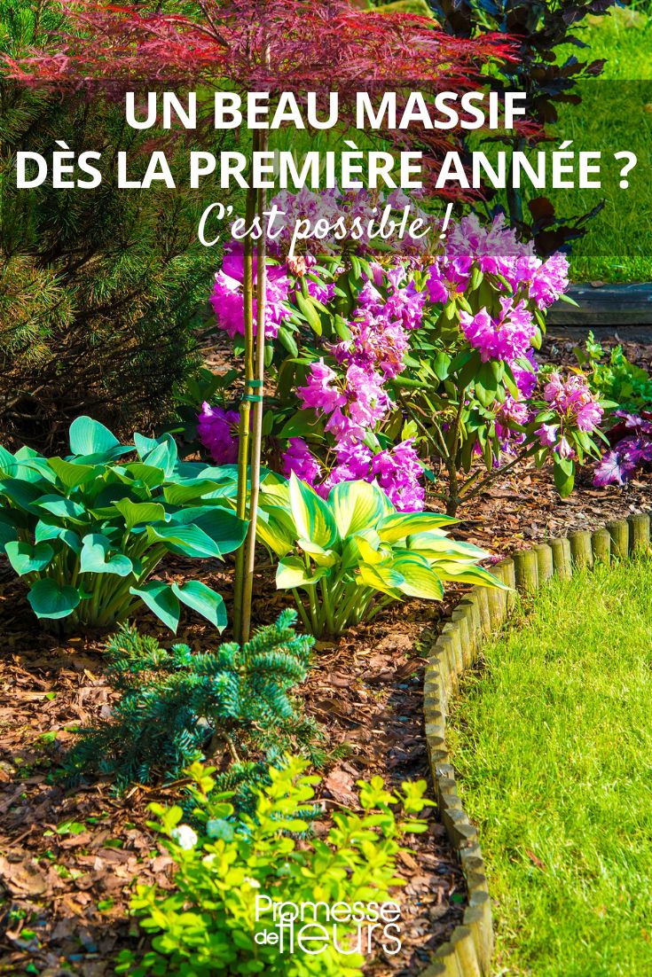 Beet im Garten