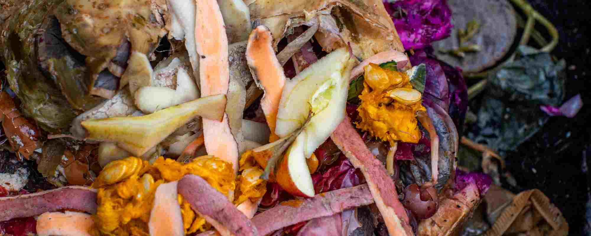 Bokashi: Kompostieren aus Japan