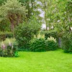 Bäume im Garten richtig platzieren?