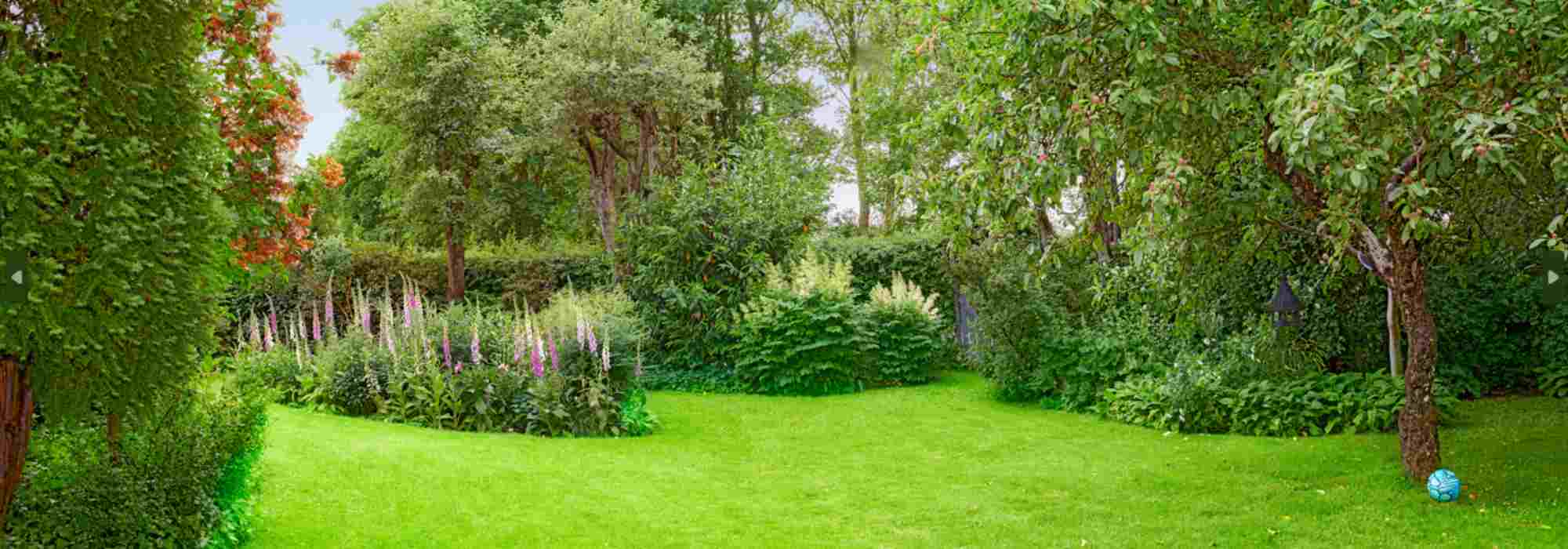 Bäume im Garten richtig platzieren?