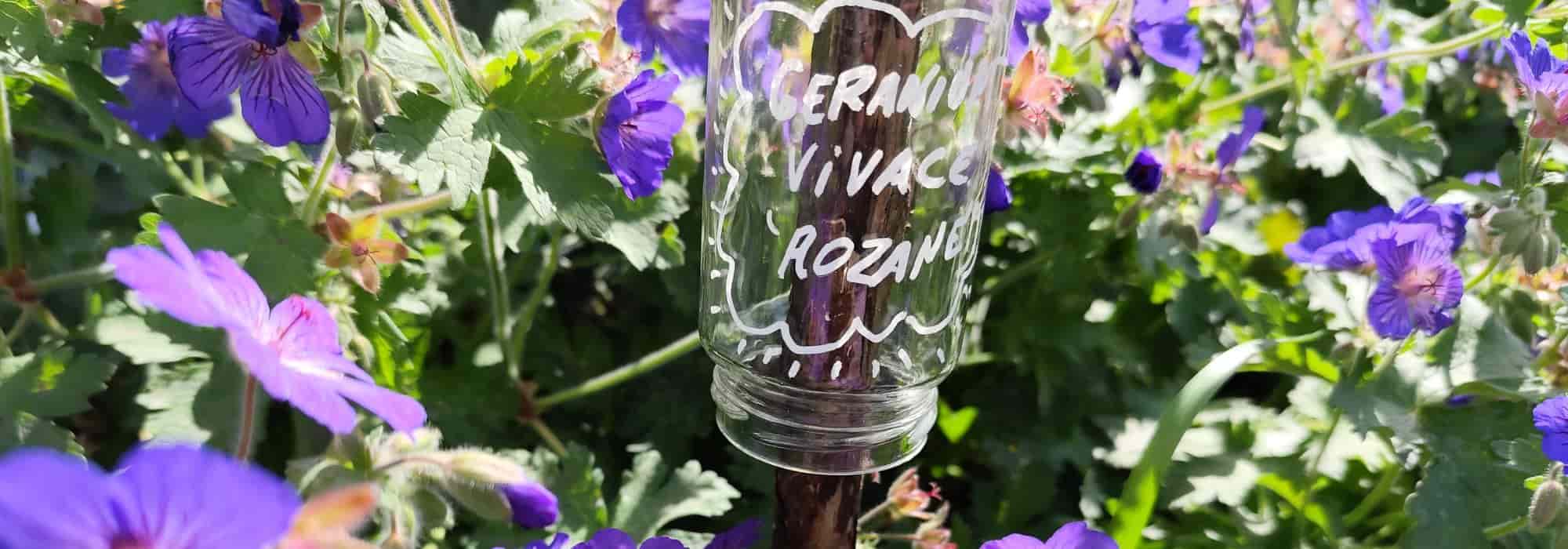 Ökologisch gärtnern: Pflanzschilder für Garten und Gemüsebeet selbst machen