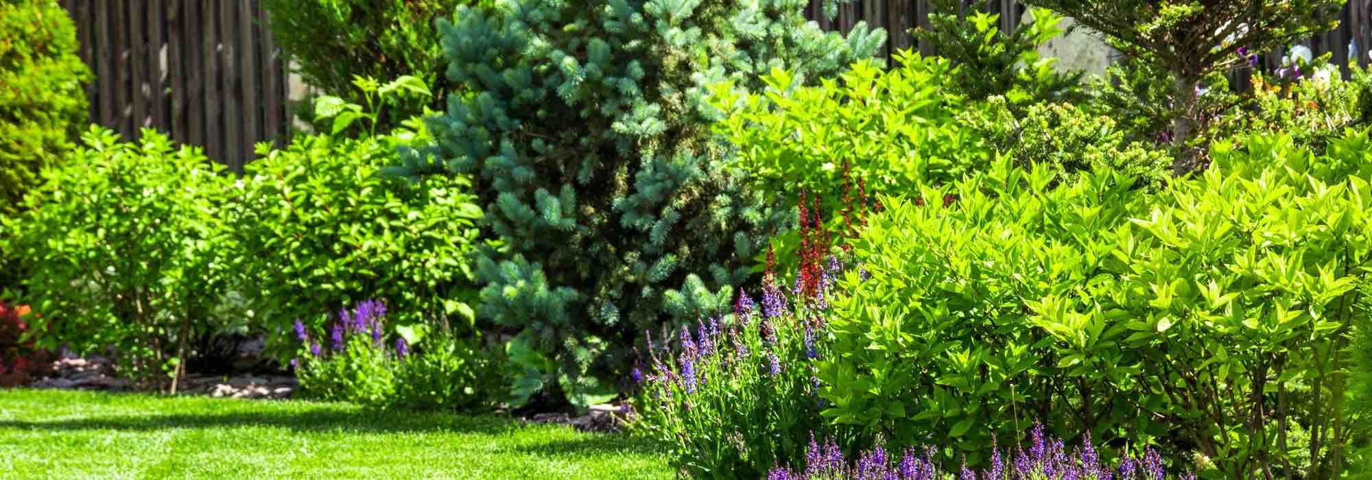 Garten in windiger Lage gestalten: 5 Tipps