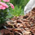 Die besten Mulchmaterialien gegen Unkraut