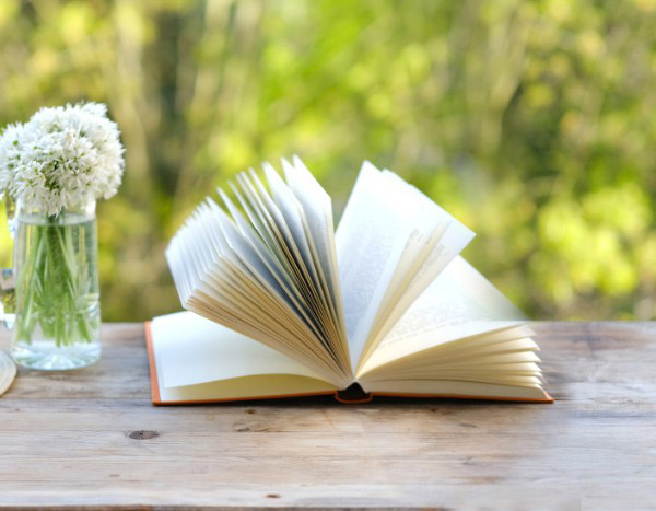 Vom Samen zur Seite: Gartentagebuch Schritt für Schritt?