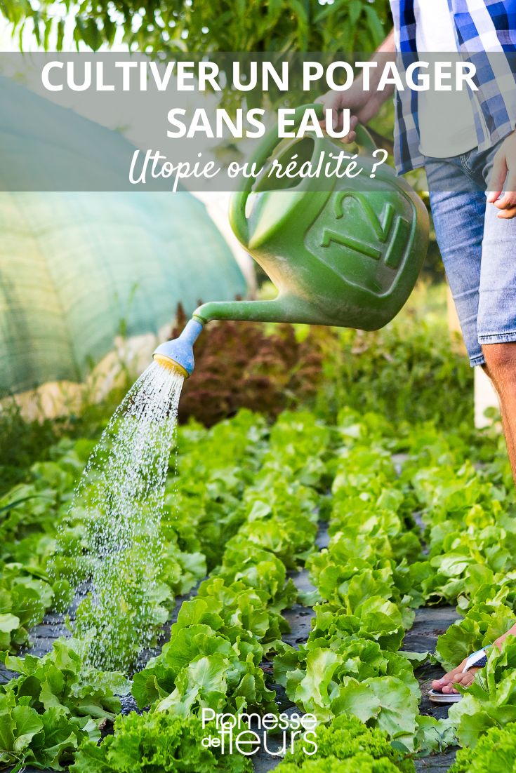 Ein Garten ohne Bewässerung?