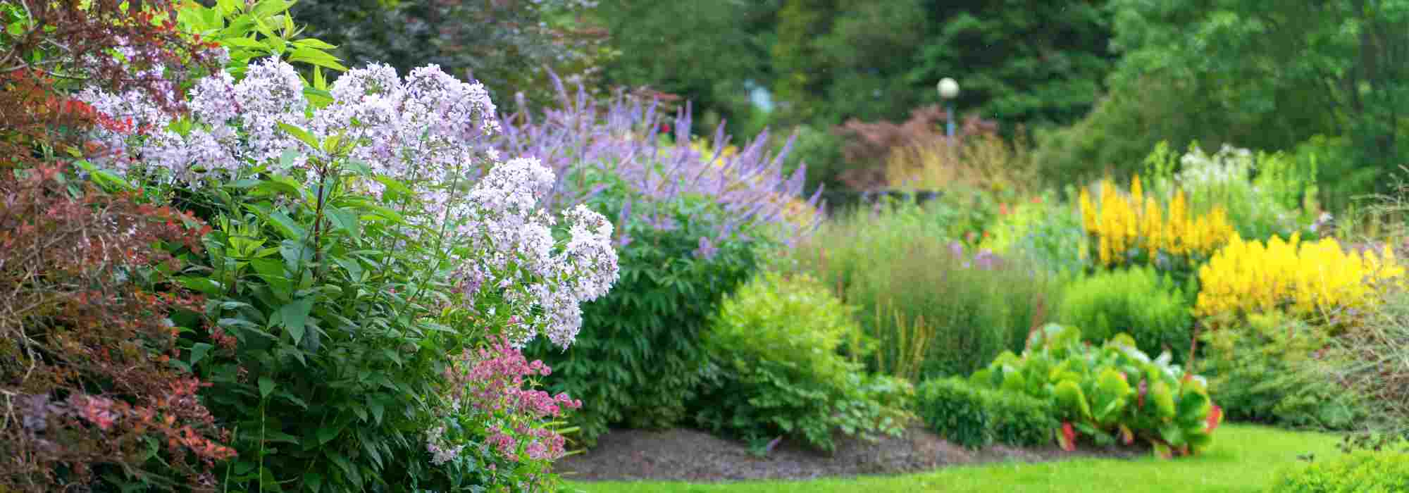 Gartenpflege im Sommer: die besten Tipps?