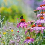 Sommergarten gestalten: unsere Tipps
