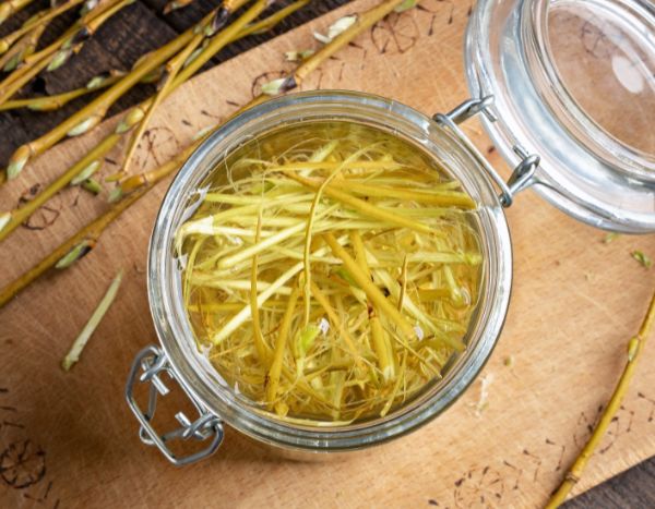 Natürliche Bewurzelungshormone selbst herstellen?