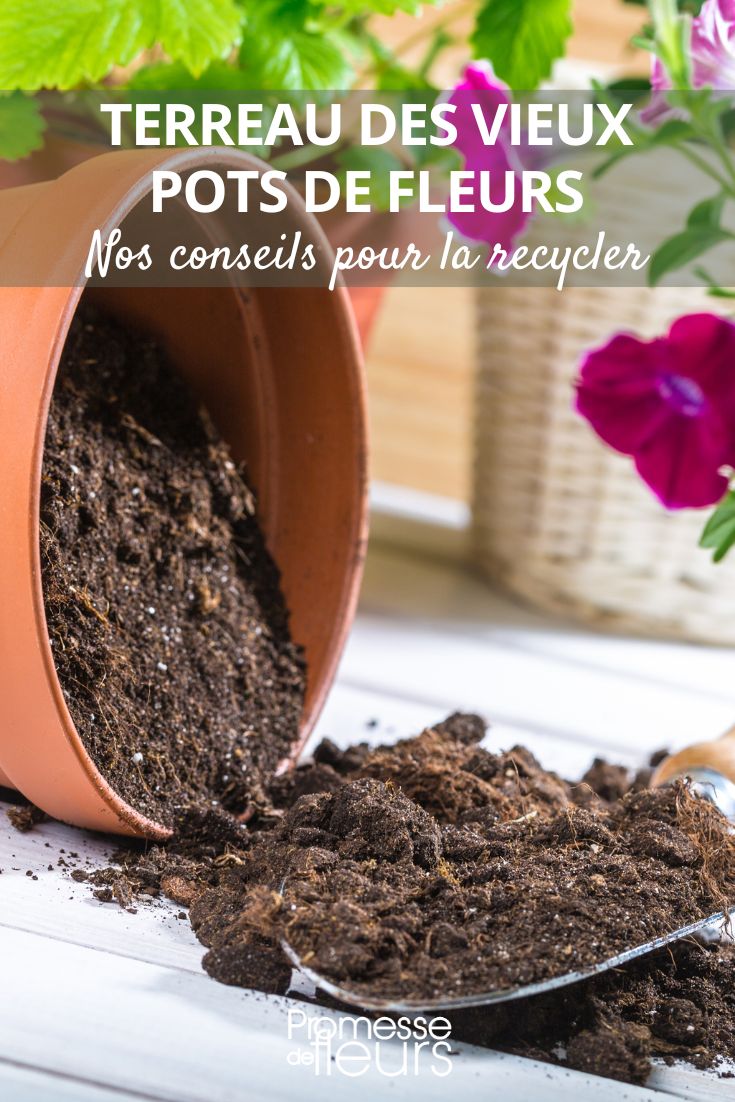 Was tun mit alter Blumenerde aus Töpfen