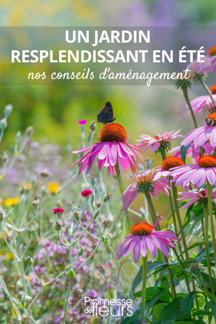 Tipps für einen schönen Garten auch im Sommer