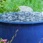 Leitungswasser, Regenwasser oder demineralisiertes Wasser: Welches Wasser eignet sich zum Gießen von Pflanzen?